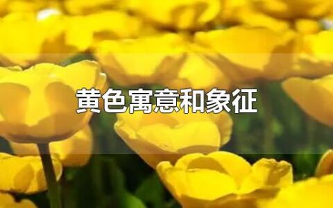 黄色寓意和象征