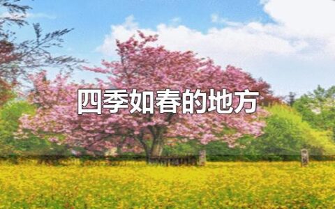 四季如春的地方