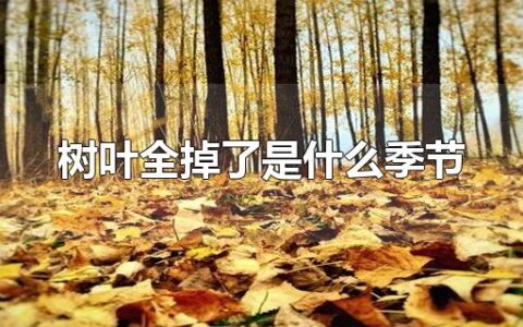 树叶全掉了是什么季节