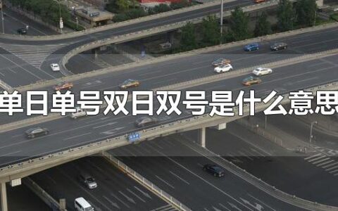 单日单号双日双号是什么意思