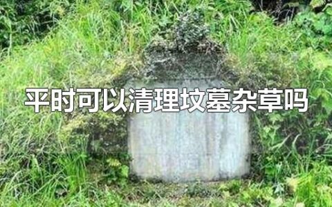 平时可以清理坟墓杂草吗