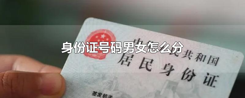 身份证号码男女怎么分