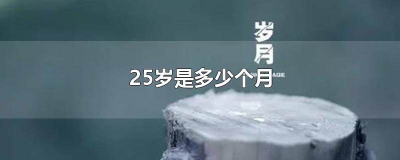 25岁是多少个月