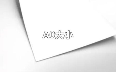 A0大小