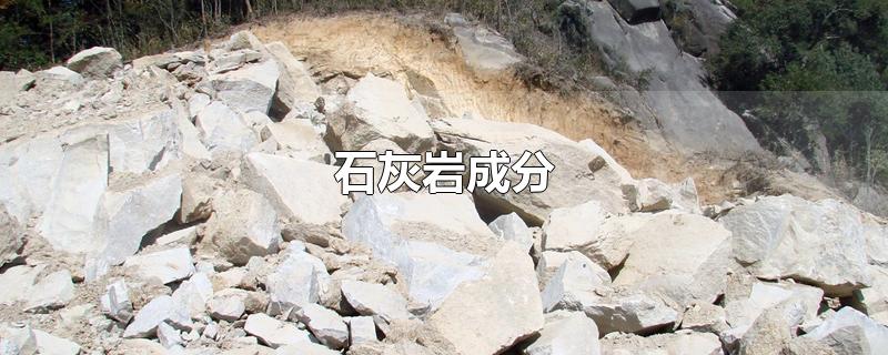 石灰岩成分