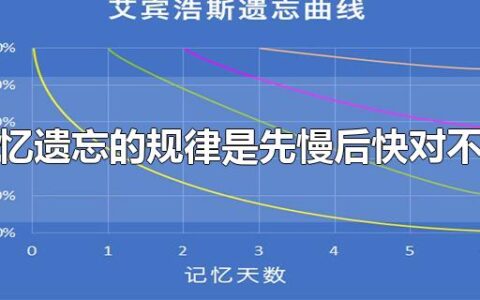 记忆遗忘的规律是先慢后快对不对