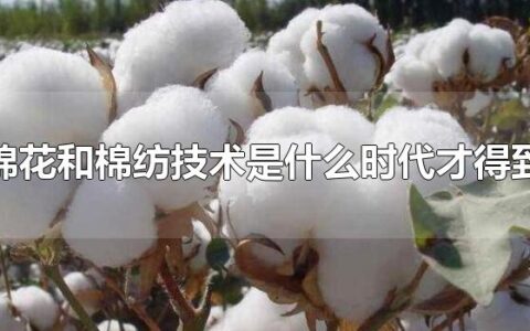 种植棉花和棉纺技术是什么时代才得到推广