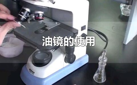 油镜的使用