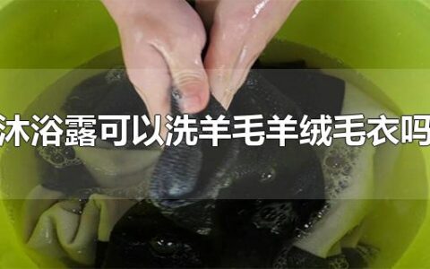 沐浴露可以洗羊毛羊绒毛衣吗