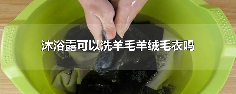 沐浴露可以洗羊毛羊绒毛衣吗