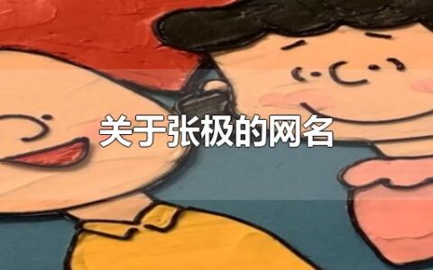 关于张极的网名