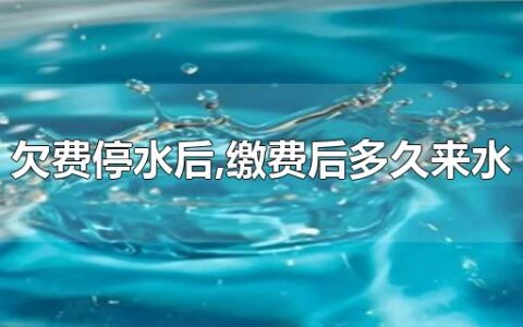 欠费停水后,缴费后多久来水