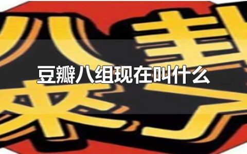 豆瓣八组现在叫什么