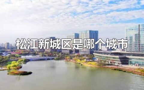 松江新城区是哪个城市