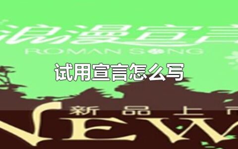 试用宣言怎么写