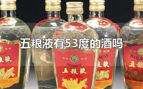 五粮液有53度的酒吗