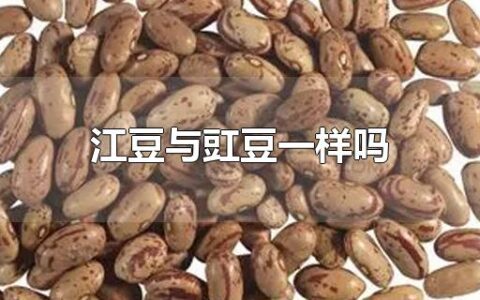 江豆与豇豆一样吗