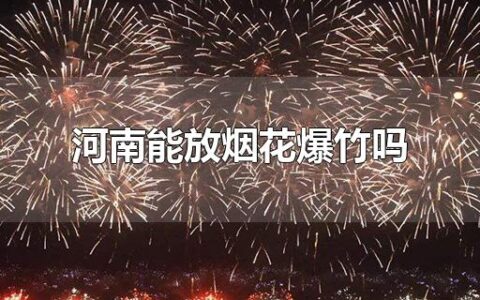 河南能放烟花爆竹吗