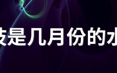 荔枝是几月份的水果 2022年荔枝价格是多少钱一斤