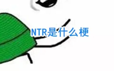 ntr是什么意思