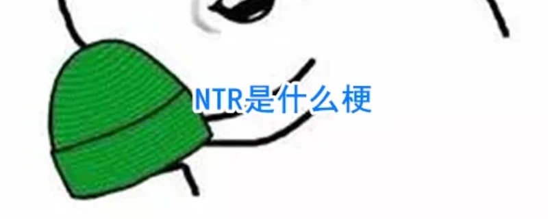 ntr是什么意思