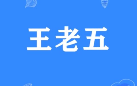 王老五是什么梗