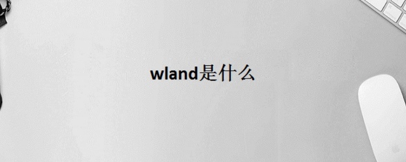 wland官网怎么进入