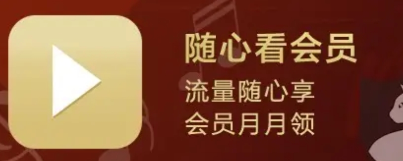 随心看会员什么意思