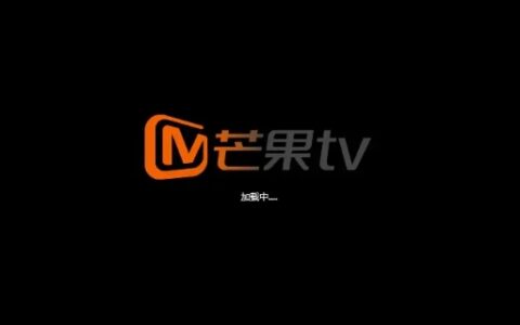 芒果tv在ipad上为什么这么小