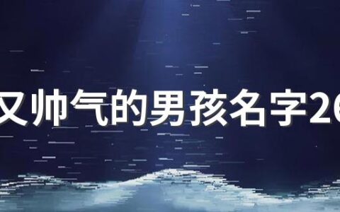 富贵又帅气的男孩名字260个 帅气好听的男孩子名字