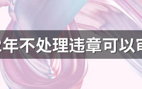 2022年不处理违章可以审车吗 违章多长时间不处理会怎么样