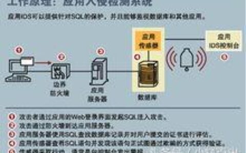 网站漏洞检测软件有哪些（手机在线检测网站漏洞的方法）