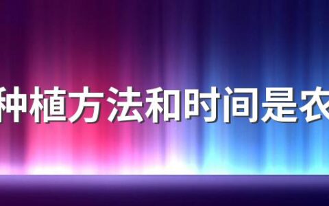 芍药种植方法和时间是农历还是阳历 芍药能放卧室吗