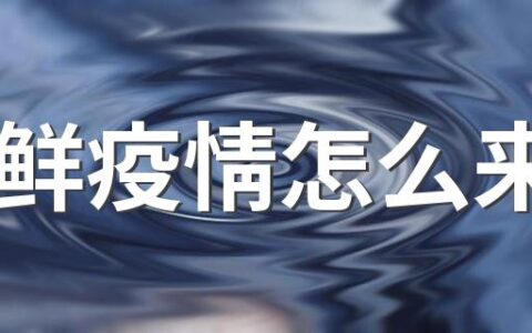 朝鲜疫情怎么来的 2022朝鲜疫情原因从何而来