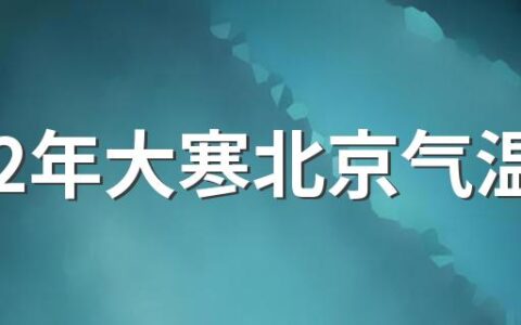 2022年大寒北京气温 雪花飘落夹风雨