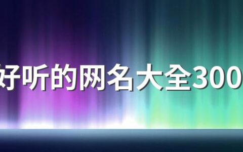 简单好听的网名大全300个 好记又可爱的网名