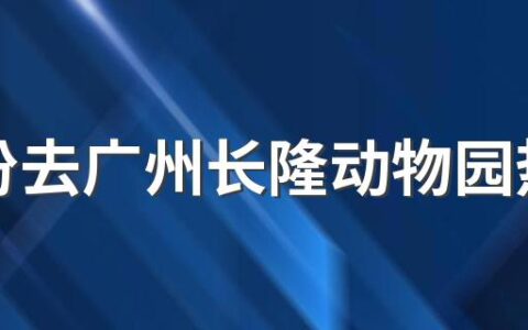 6月份去广州长隆动物园热吗 去广州长隆动物园几月份去好