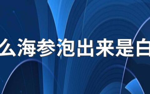 为什么海参泡出来是白色的 干海参发白是发霉了吗