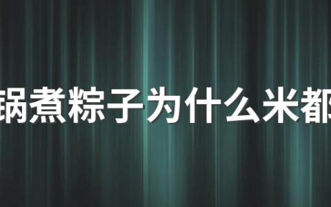 高压锅煮粽子为什么米都出来了 怎样用高压锅煮粽子