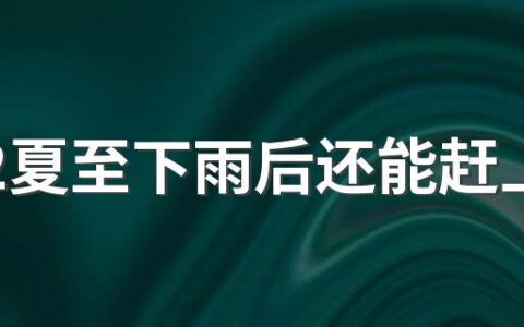 2022夏至下雨后还能赶上种玉米吗 种玉米什么时候种最好