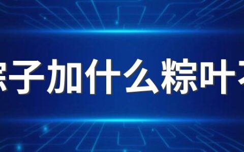 煮粽子加什么粽叶不黄 煮粽子注意事项