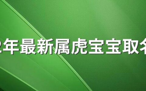 2022年最新属虎宝宝取名字380个