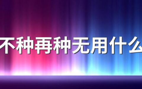 芒种不种再种无用什么意思 收麦子在芒种