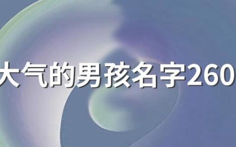 聪明大气的男孩名字260个 好听又大气的男孩名字