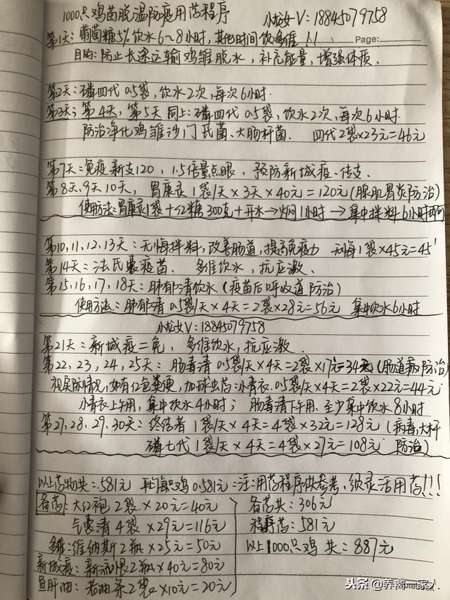 养鸡秘诀：农家散养土鸡技术快速学习！收藏！