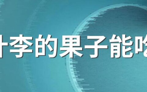 紫叶李的果子能吃吗 紫叶李是李子树吗