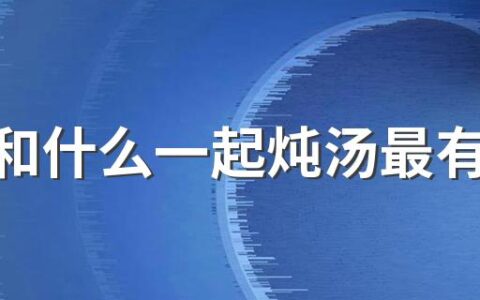 鸽子和什么一起炖汤最有营养 鸽子炖汤的技巧