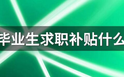 高校毕业生求职补贴什么时候发放 2022年大学生就业补贴网上申请流程