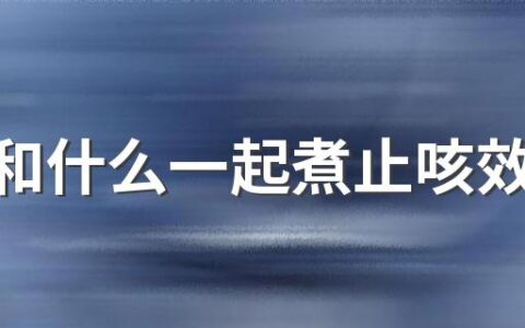 枇杷和什么一起煮止咳效果好 枇杷怎么煮水止咳化痰