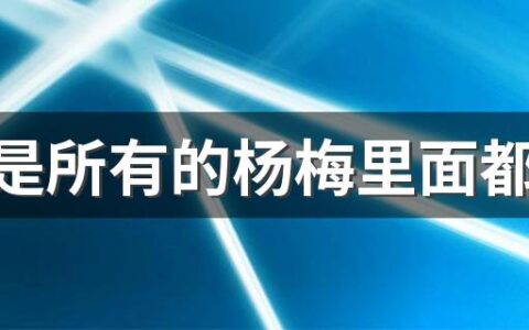 是不是所有的杨梅里面都有虫 杨梅虫子怎么泡出来